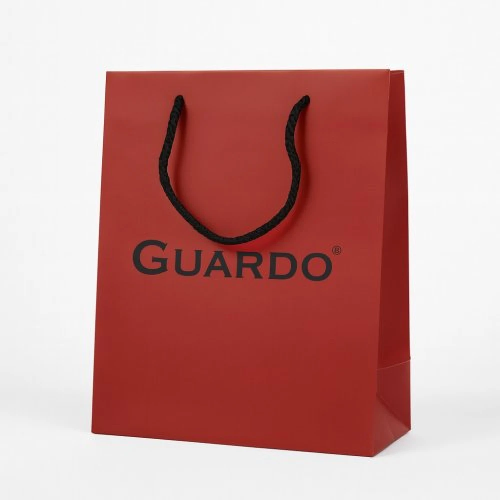  Чоловічий годинник GUARDO 012764-1 silver-black