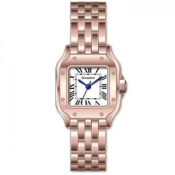 Жіночий годинник GUARDO 012827-4