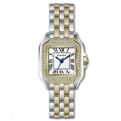 Жіночий годинник GUARDO 012830-3 