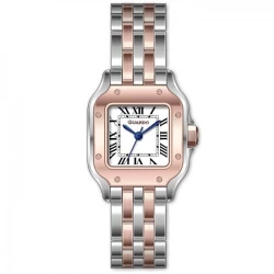 Жіночий годинник GUARDO 012827-5 