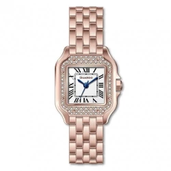 Жіночий годинник GUARDO 012830-4