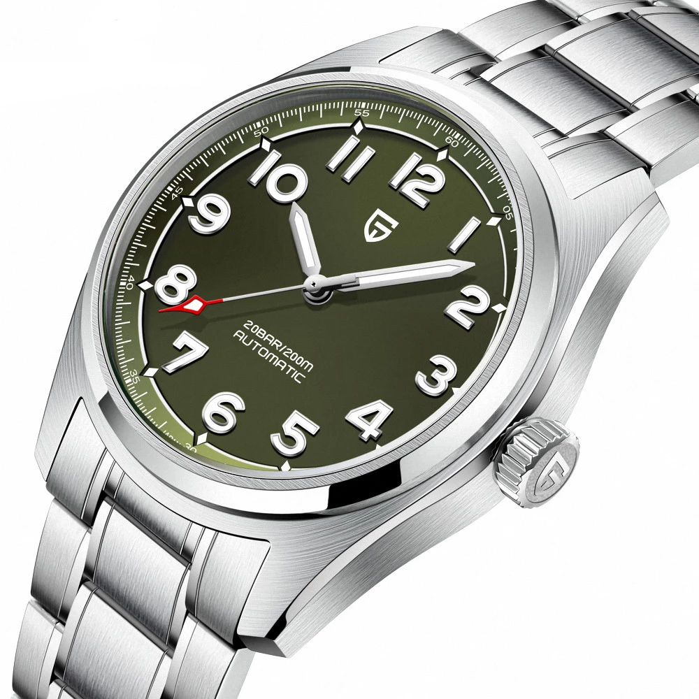 Pagani Design PD-1717 Silver-Green